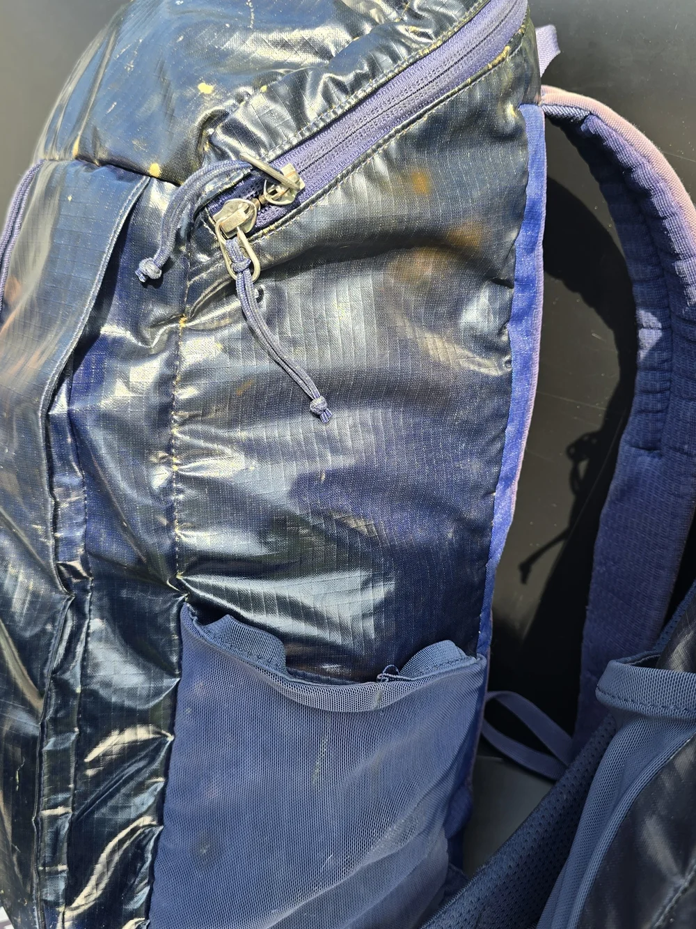 Patagonia Black Hole 25 Men's Navy Backpack Glossy Tpu